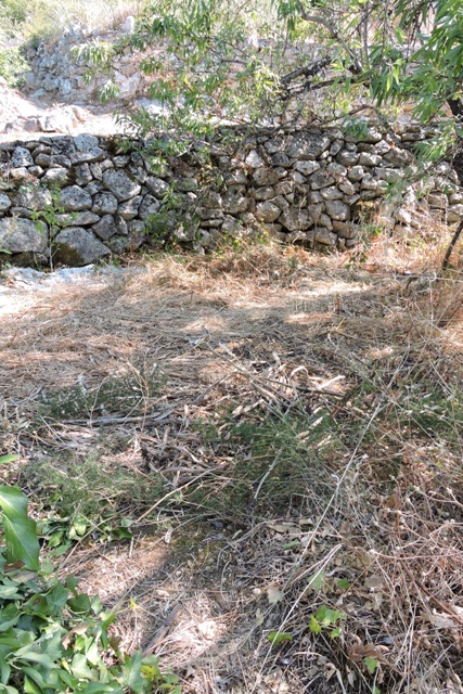 Weeds dug and stems cut down