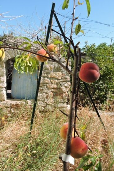 Life begins over again  –  2025/30