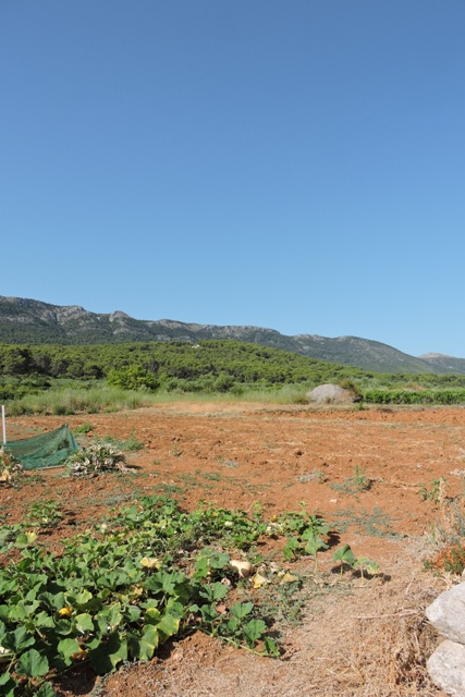 The island bakes in the summer sunshine
