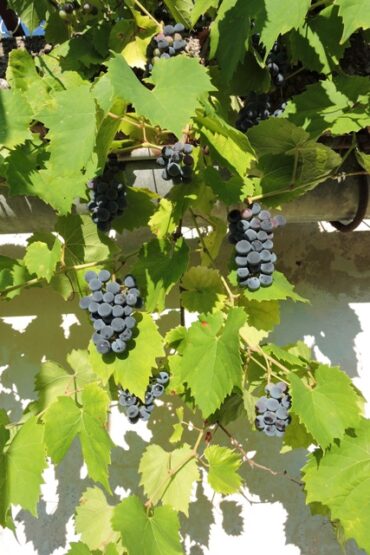 Where are you looking?  –  2025/31