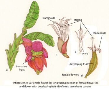 Website woes  –  2025/36