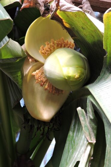 How to write good  –  2025/37