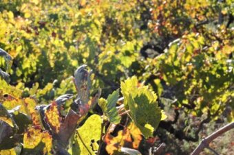 The six “P”s  –  2025/40