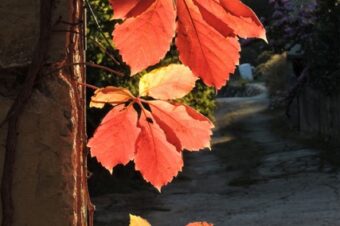 Looking for a Traffic Jam  –  2025/41