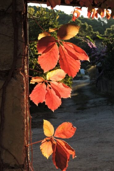 Looking for a Traffic Jam  –  2025/41