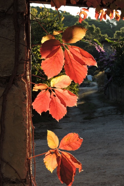 Looking for a Traffic Jam  –  2025/41