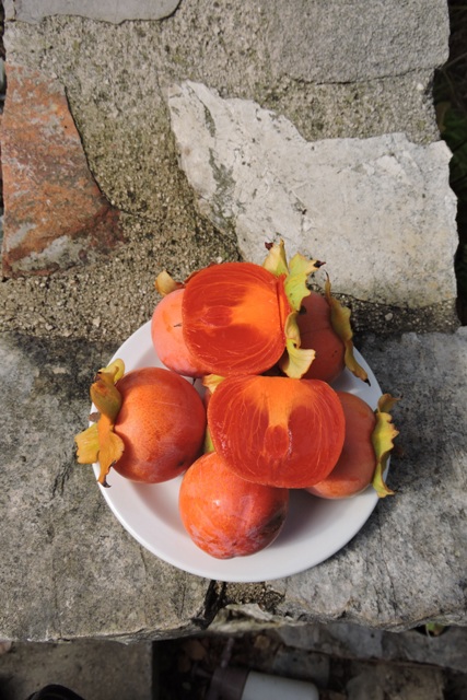 Fresh Persimmon fruit