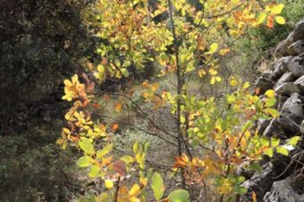 Part one finished  –  2025/43