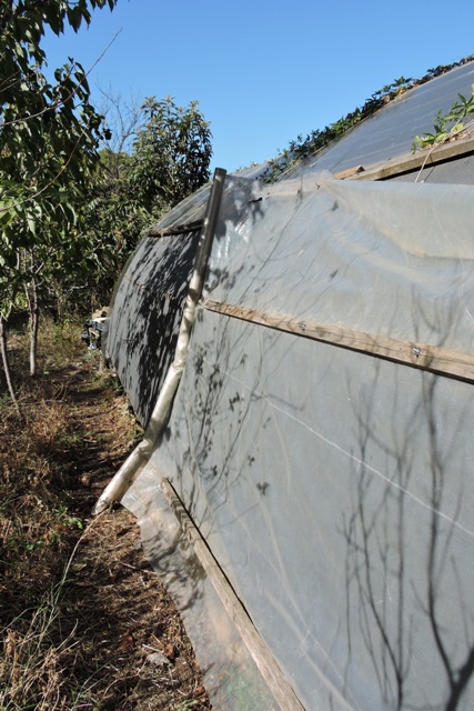 Installing the replacement lats over the plastic sheet.