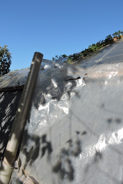 Polythene does not last long under our sun