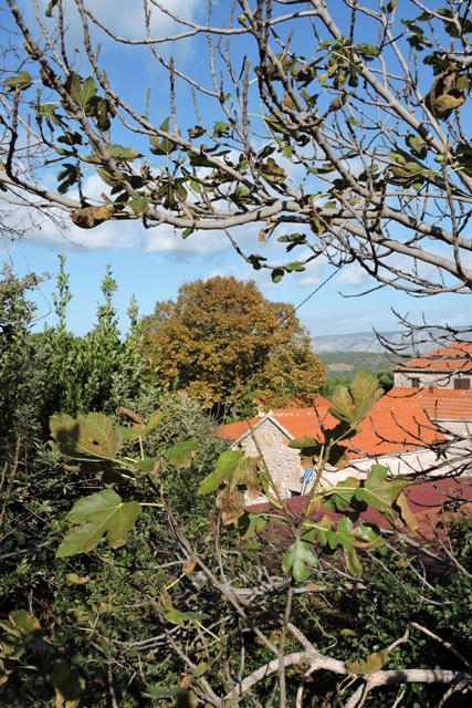 The end of October 2023