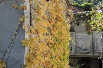 I’m easily frustrated!  –  2025/44