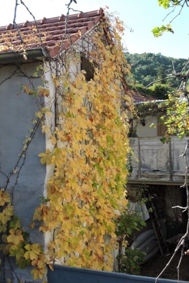 I’m easily frustrated!  –  2025/44