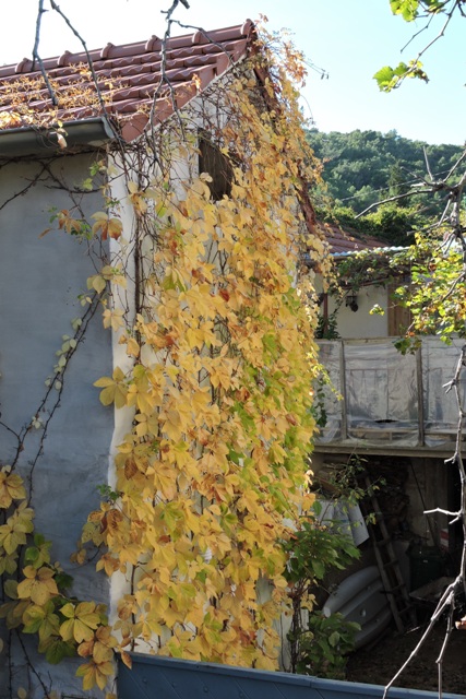 I’m easily frustrated!  –  2025/44