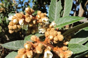 Not quite enough  –  2025/45