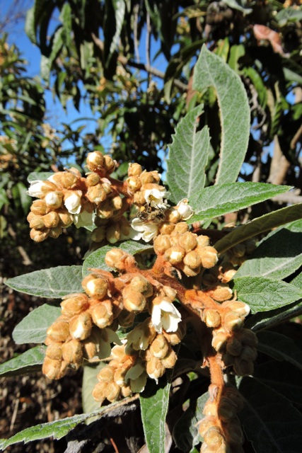 Not quite enough  –  2025/45