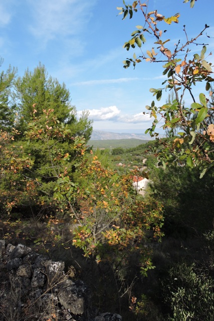 Early winter sunshine
