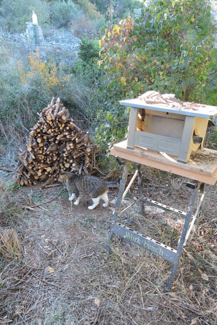 Cutting smaller dry branches