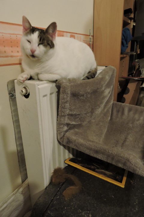 Don't even think about it...