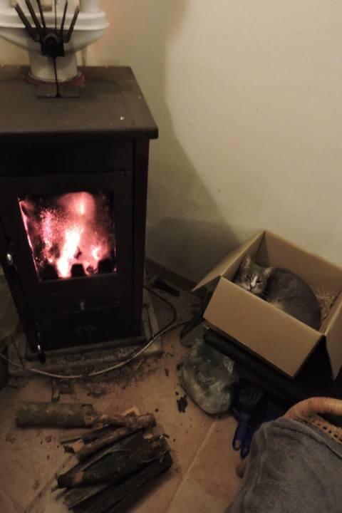 This is MY box and I'm not moving!