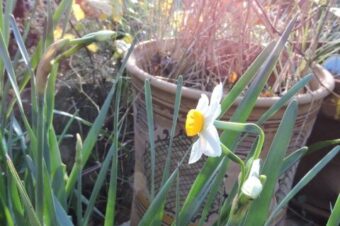 Blue lights and sirens  –  2025/49