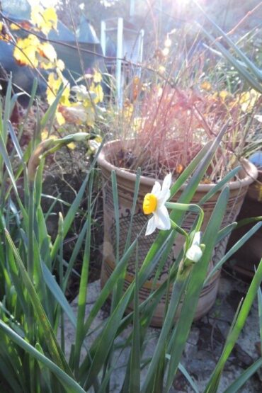 Blue lights and sirens  –  2025/49