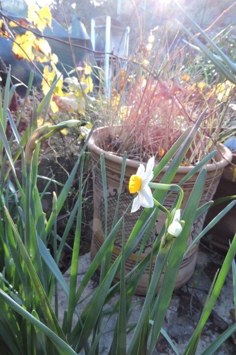 Blue lights and sirens  –  2025/49