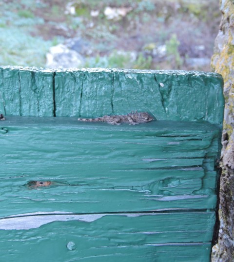 I spy with my little eye....