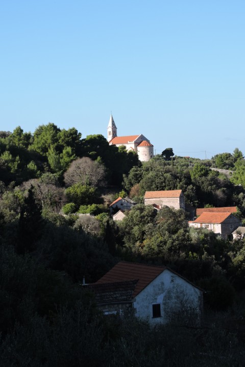 Mid day sunshine - 20th December 2025