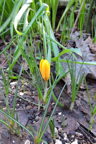 Fireside woes  –  2026/05