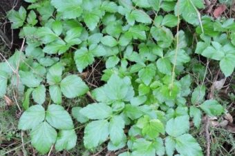 It’s winter!  –  2026/02