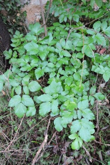 It’s winter!  –  2026/02