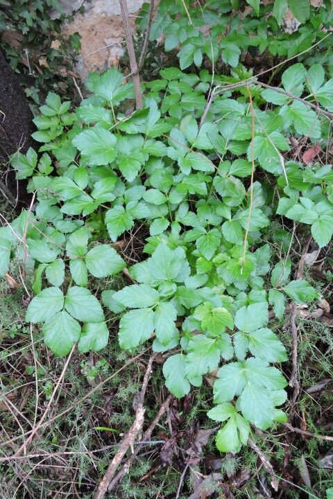 It’s winter!  –  2026/02