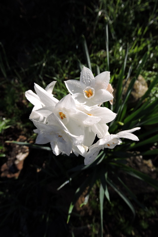 So it begins again  –  2026/03