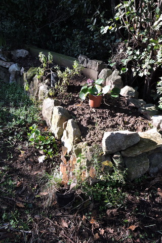 Ready, steady, PLANT