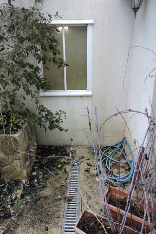 The kitchen window alcove