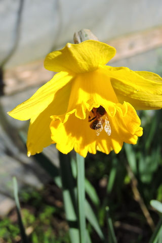 Awful weather  –  2026/06