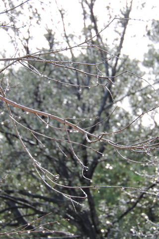 Sunlight reflected through rain drops