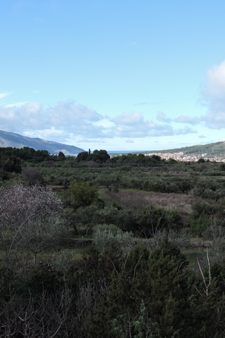 After the rain cleared...