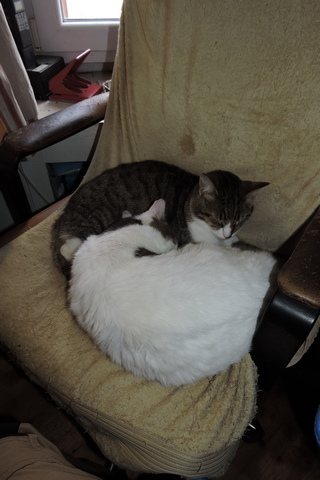 Whose chair? My chair - not...