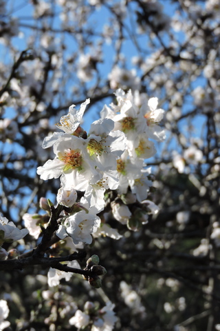 Then the rain came  –  2026/0*