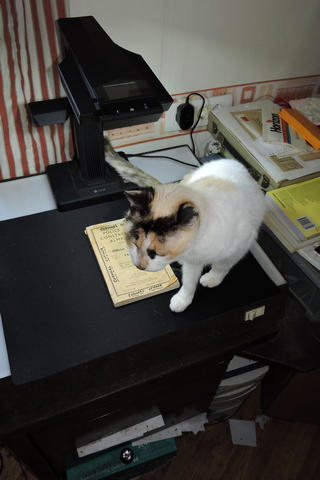 I want to sit here...