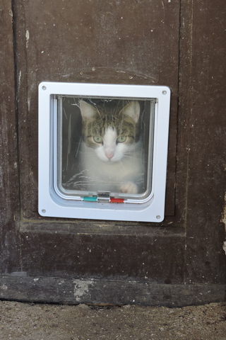 Replacement flap fitted