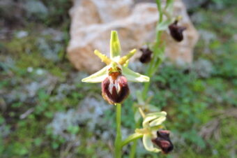 Ideas over coffee  –  2026/11