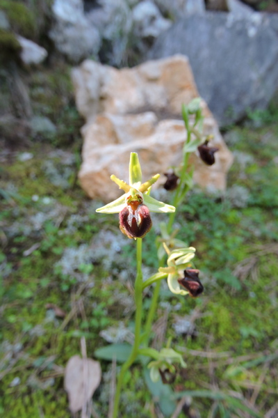 Ideas over coffee  –  2026/11