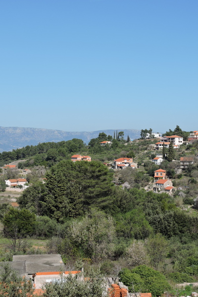 Warm spring sunshine