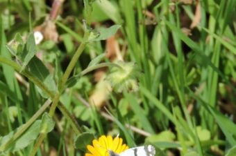 Break out the NATO sweater  –  2026/13