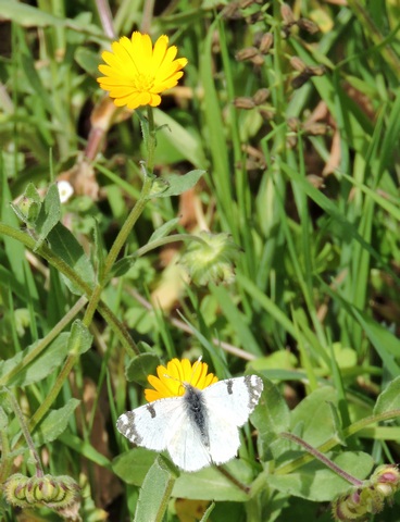 Break out the NATO sweater  –  2026/13