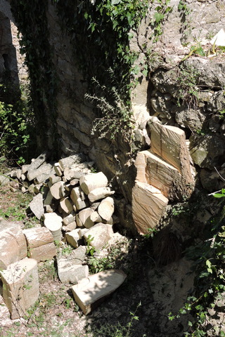 The tree trunk is no more!