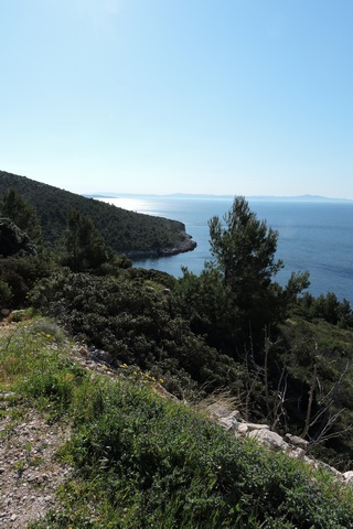 Sunshine on the Adriatic